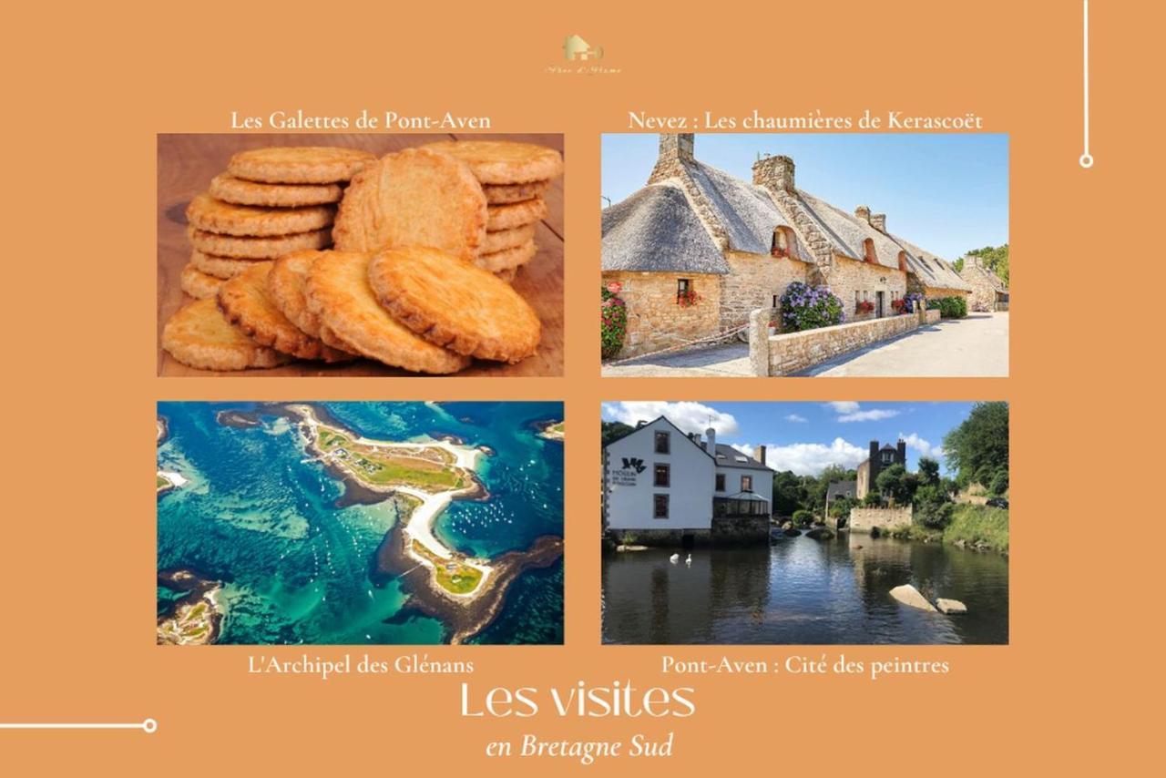 Le Tiguidou, Cosy, Lumineux, 2-6 Pers, Plage 300M Moelan sur Mer Bagian luar foto